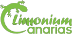 limonium-logotipo