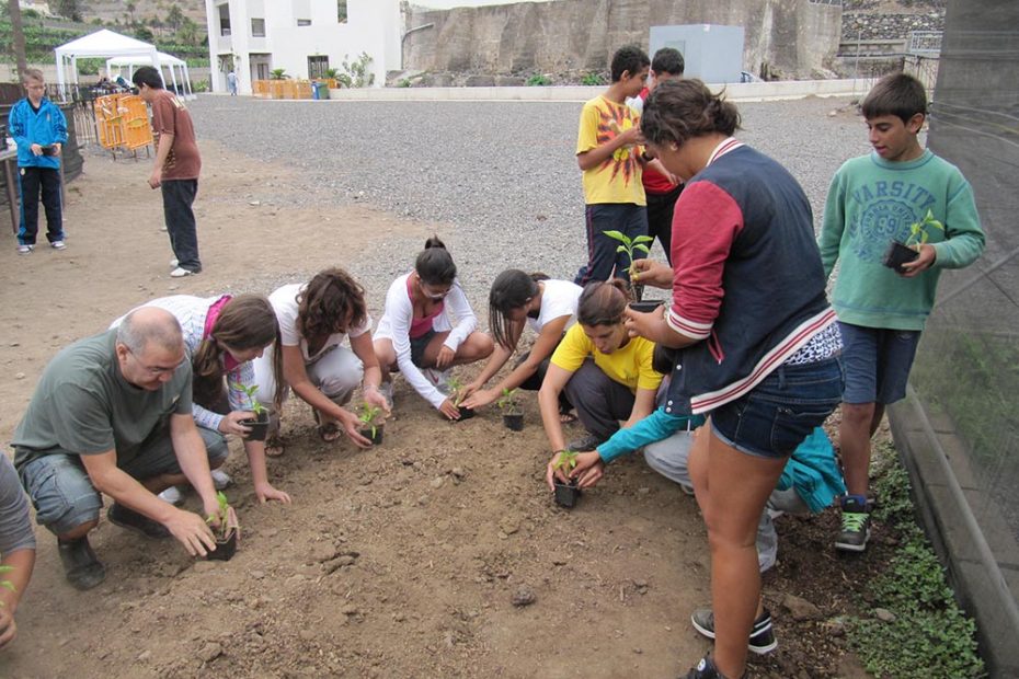 Limonium Canarias - Educación Ambiental - Huerto Escolar